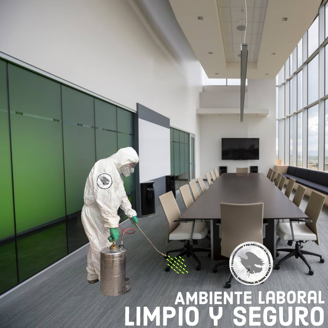 Fumigación en acción